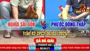 Trận 42 CPC2 30/3/2025 - Anh Phước Đồng Tháp Được 9 Điểm Sau 3 Vòng