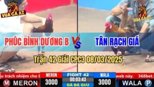 Trận 42 Giải CPC3 8/3/2025 - Phúc Bình Dương B vs Tân Rạch Giá