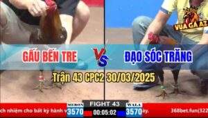 Trận 43 CPC2 30/3/2025 - Gà Anh Gấu Có Chân Phản Lấy Tiền Đổ Xăng XìPo