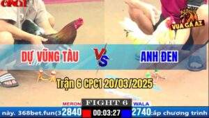 Trận 6 CPC1 20/3/2025 - Điều Anh Dự Vũng Tàu Đá Chân Nào Cũng Đâm