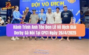 Hành Trình Anh Tèo Đen Lê Vô Địch Giải Derby Gà Nòi Tại CPC1 26/4/2025