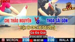 Trận 16 CPC1 10/4/2025 - Chị Thảo Nguyên Và Chị Thoa Sài Gòn