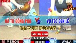 Trận 25 CPC1 10/4/2025 - Bà Tư Đông Pha Và Vợ Tèo Đen Lê
