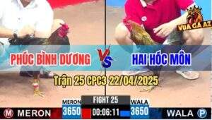 Trận 25 CPC3 22/4/2025 - Xám Cọp Chú Phúc Bình Dương Đâm Cựa Như Thần