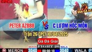 Trận 26 CPC1 10/4/2025 - Peter AZ888 Và Chị Lượm Hóc Môn
