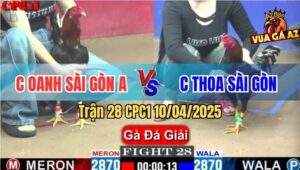 Trận 28 CPC1 10/4/2025 - Chị Oanh Sài Gòn A Và Chị Thoa Sài Gòn