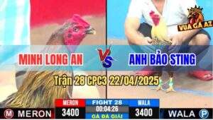 Trận 28 CPC3 22/4/2025 - 2 Con Đều Té Má Minh Và Bảo Sting Chia Điểm