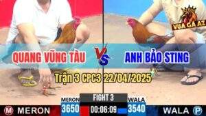 Trận 3 CPC3 22/4/2025 - Điều Cọp Anh Bảo Sting Ra Quân Bị Đá Xì Cơm