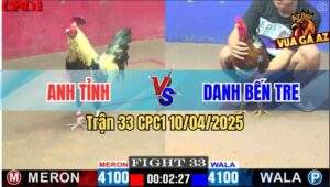 Trận 33 CPC1 10/4/2025 - Gà Chuối Anh Danh Đá Gà Điều Anh Tỉnh Bay Bồ