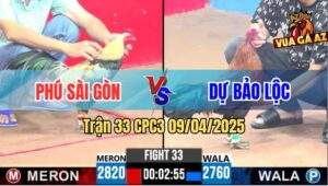 Trận 33 CPC3 9/4/2025 - Xanh Cọp Bảo Lộc Hạ Chuối Hiệu Anh Phú Sài Gòn