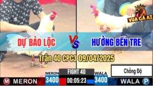 Trận 40 CPC3 9/4/2025 - Gà Anh Hưởng Chồng Độ Hạ Đẹp Gà Anh Dự Bảo Lộc