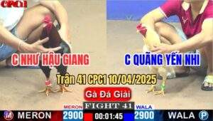 Trận 41 CPC1 10/4/2025 - Chị Như Hậu Giang Và Chị Quãng Yến Nhi