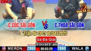 Trận 46 CPC1 10/4/2025 - Chị Cúc Sài Gòn Và Chị Thoa Sài Gòn