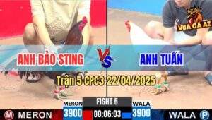 Trận 5 CPC3 22/4/2025 - Gà Úa Quá Trâu Lướt Ói Hạ Điều Cọp Bảo Sting