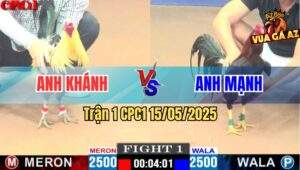 Trận 1 CPC1 15/5/2025 – Anh Khánh Sài Gòn Vs Anh Mạnh