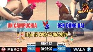 Trận 12 CPC3 7/5/2025 - Điều Nhấp Mấy Chân Khét Cọp Dự Bảo Lộc Bung Bồ