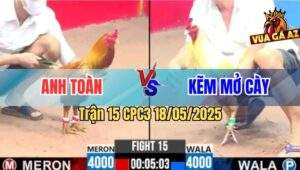 Trận 15 CPC3 18/5/2025 - Bướm Anh Kẽm Nạp Đúng 1 Chân Vàng Giãy Chết