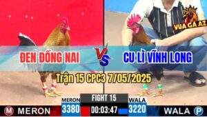 Trận 15 CPC3 7/5/2025 - Anh Tính Ga King Rớt Nài Với Anh Cu Lì