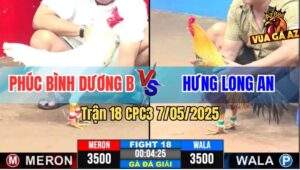 Trận 18 CPC3 7/5/2025 - Gà Xám Anh Hưng Hạ Úa Cọp Chú Phúc, Lấy 3 Điểm