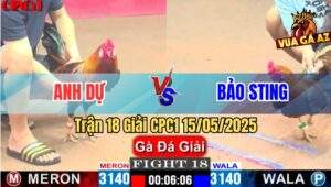 Trận 18 Giải CPC1 15/5/2025 – Anh Dự Vũng Tàu Vs Anh Bảo Sting