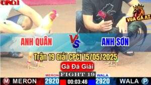 Trận 19 Giải CPC1 15/5/2025 – Anh Quân Long An Vs Anh Sơn Sài Gòn