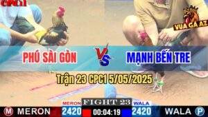 Trận 23 CPC1 5/5/2025 - Gà Điều Đá Chuối Hiệu Anh Phú Không Kịp Dỡ Giò