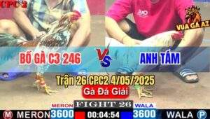 Trận 26 CPC2 4/5/2025 - Đội Bồ Gà C3 246 Gặp Đội Anh Tám