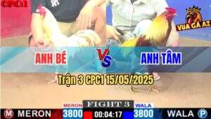 Trận 3 CPC1 15/5/2025 – Anh Bé Vs Anh Tâm