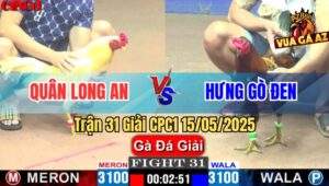 Trận 31 Giải CPC1 15/5/2025 – Anh Quân Long An Vs Anh Hưng Gò Đen