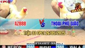 Trận 33 CPC1 26/5/2025 - Bướm Anh Thoại Đâm Gà Bướm AZ888 Chết Tươi