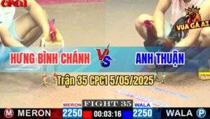 Trận 35 CPC1 5/5/2025 - Camelo Anh Hưng Hạ Knock-Out Gà Que Anh Thuận