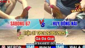 Trận 37 CPC1 26/5/2025 - SaBong 67 Gặp Anh Huy Đồng Nai