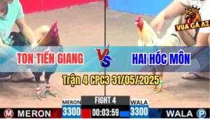 Trận 4 CPC3 31/5/2025 - Anh Ton Tiền Giang Và Anh Hai Hóc Môn