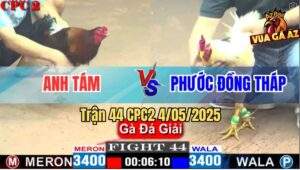 Trận 44 CPC2 4/5/2025 - Bảo Sting Thả Giùm Gạt Giò Anh Phước Quá Đẹp