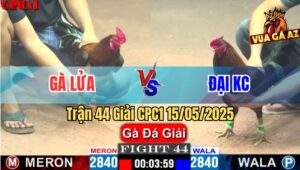 Trận 44 Giải CPC1 15/5/2025 – Gà Lửa Vs Anh Đại KC