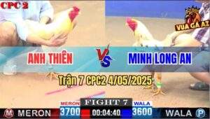 Trận 7 CPC2 4/5/2025 - Úa Anh Thiên Hạ Bướm Má Minh Chỉ 1 Tay Nước
