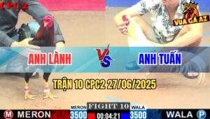 Trận 10 CPC2 27/06/2025 - Gà Anh Lành Gồng Phản 1 Cựa Hạ Gà Anh Tuấn