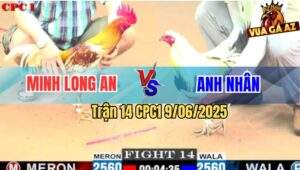 Trận 14 CPC1 9/6/2025 - Camelo Má Minh Mai Độ, Dỡ Giò Là Có Kết Quả