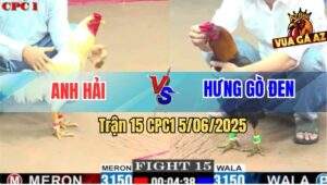 Trận 15 CPC1 5/6/2025 - Gà Úa Anh Hài Tránh Né Hay Tải Cựa Tốt