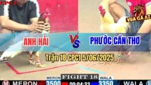 Trận 18 CPC1 5/6/2025 - Camelo Anh Hải Đâm Gà Úa Anh Phước Như Tổ Ong