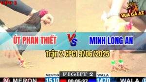 Trận 2 CPC1 9/6/2025 - Anh Út Phan Thiết Và Anh Minh Long An