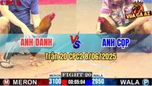 Trận 20 CPC2 8/6/2025 - Điều Anh Danh Đá Cây Mu Lưng Vàng Nằm Bại Liệt