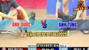 Trận 24 CPC1 9/6/2025 - Xanh Que Anh Tùng Hạ Điều Anh Quốc Nhẹ Nhàng