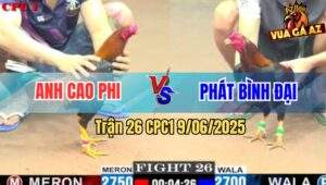 Trận 26 CPC1 9/6/2025 - Anh Cao Phi Và Anh Phát Bình Đại