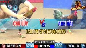 Trận 28 CPC1 7/6/2025 - Điều Chân Xanh Anh Tính Đá Bo Như Búa Đập