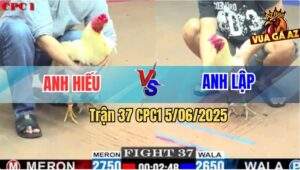 Trận 37 CPC1 5/6/2025 - Gà Bướm Anh Lập Có Chân Xạo Lờ, Phản Ăn 1