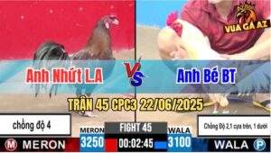 Trận 45 CPC3 22/06/2025 - Gà Anh Nhứt Long An Thắng Chồng Độ 4