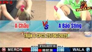 Trận 6 CPC2 25/06/2025 - Bảo Sting Nài Gà Phản 5 Lai Đẳng Cấp