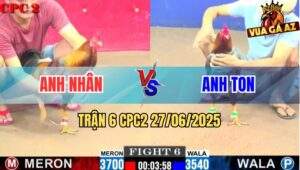 Trận 6 CPC2 27/06/2025 - Gà Xám Anh Ton Thua Tức Tưởi Vì Chấp Ngông