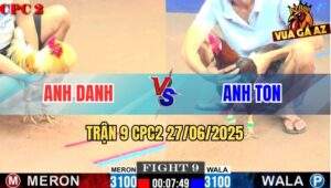 Trận 9 CPC2 27/06/2025 - Gà Xám Anh Ton Đâm Cây Đầu Cần Hạ Bướm Danh
